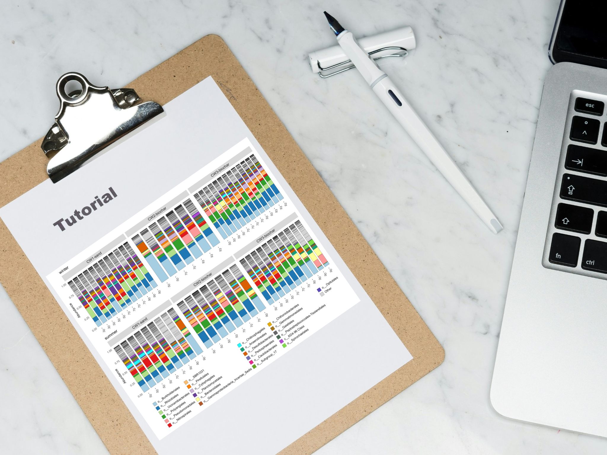 Microbiome analysis and visualisation