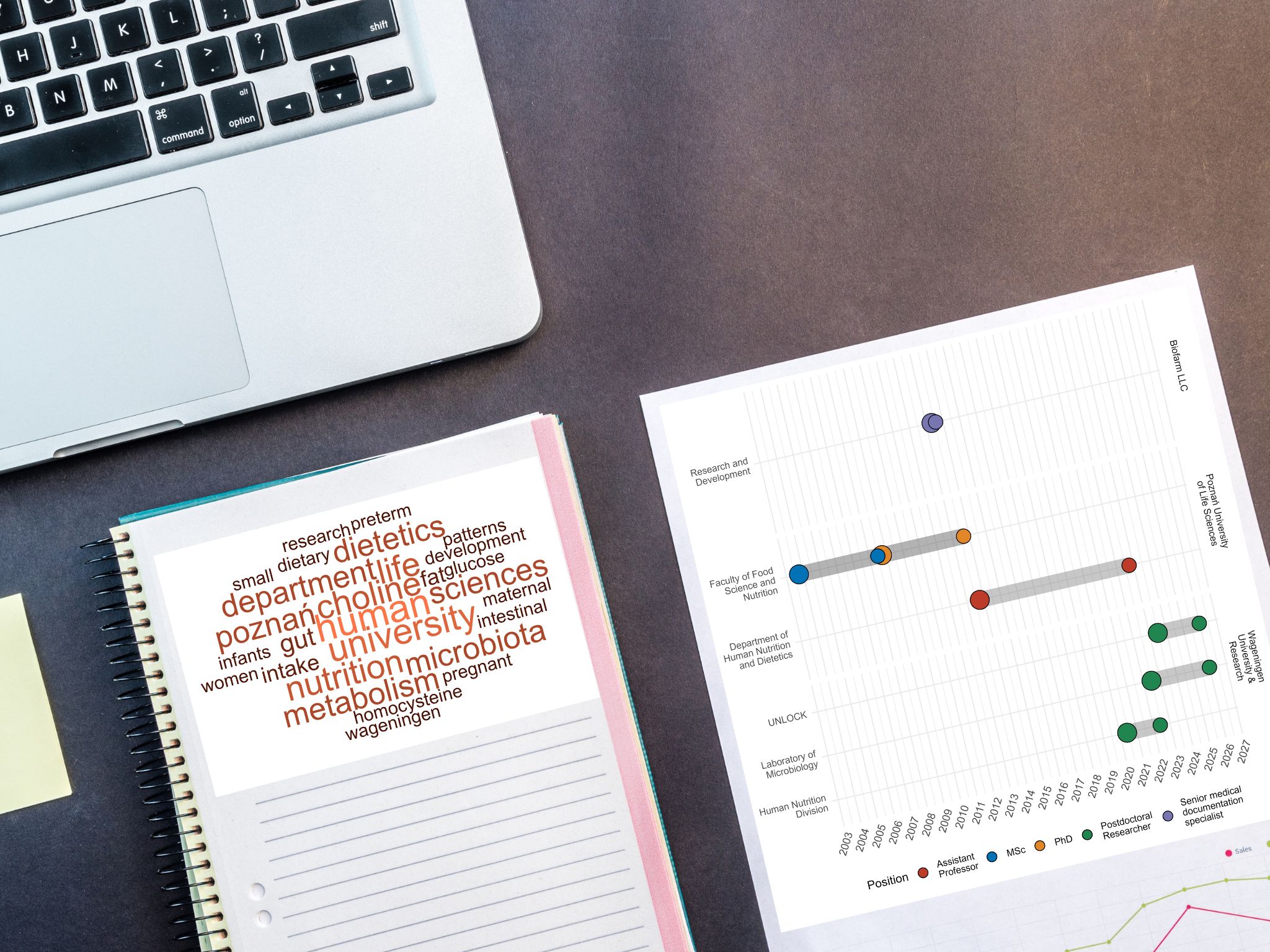 Creating CV